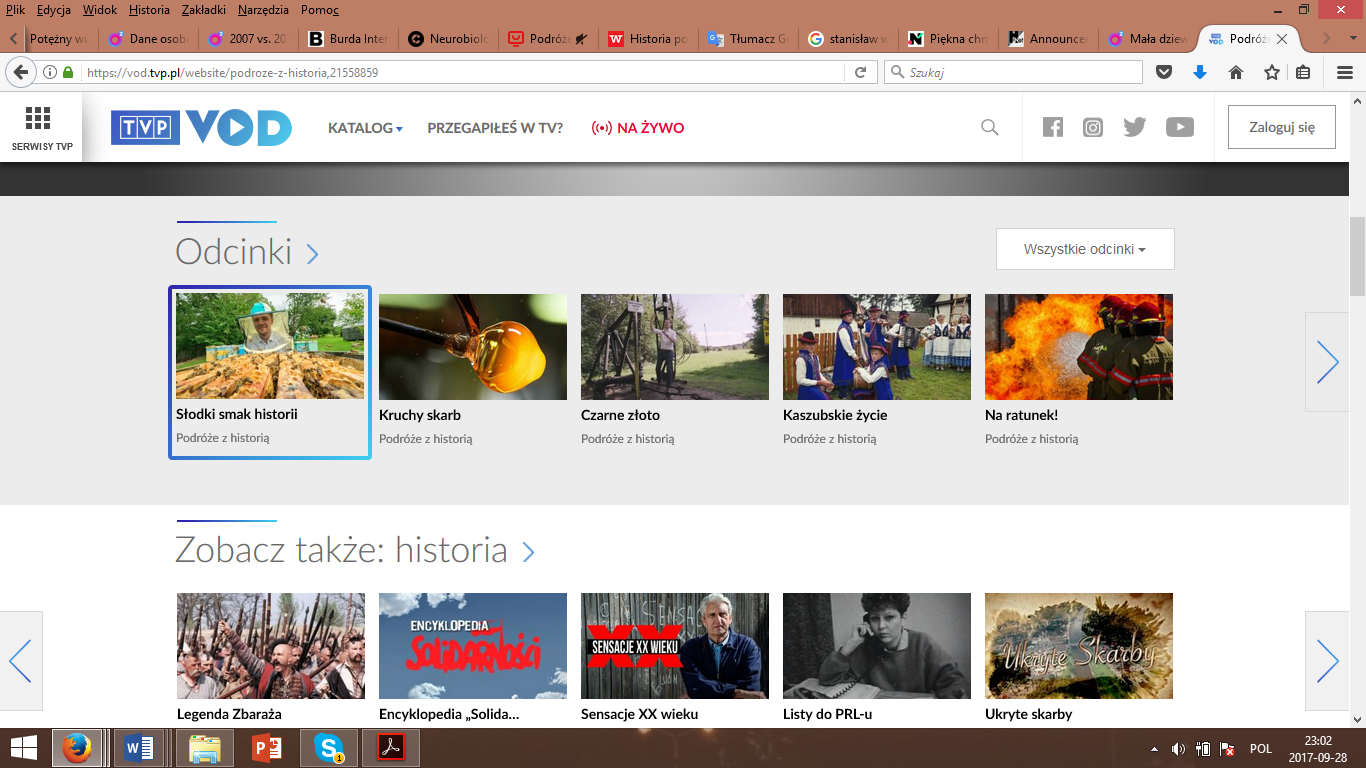 Print screen of the site of VOD TVP.